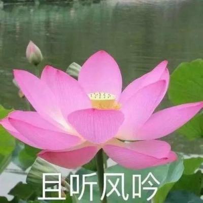 【英伦学人】傅晓岚：用学术声音讲好中国故事